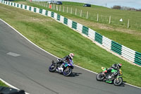 Middle Group Green Bikes